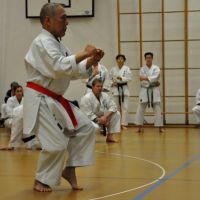 Karate, Kinder Karate, Kindergarten Kinder, Jugendliche, Erwachsenen Karate, Lebensschule, Lifeskills, Kampfsport, Karate Training, Selbstverteidigung, Krav Maga, Zürich, Dübendorf, Fällanden, Uster, Wallisellen, Dietlikon, Selbstschutz, Karate, Kung Fu, Judo, Erwachsenen Selbstverteidigung, 8600, 8001, 8117, 8606, Volketswil, Kampfkunst, Kampfsport, 8304, 8605, Krav Maga 360, Bruce Lee, Chuck Norris, Mobbing, Stop Mobbing, Kindergeburtstag, Kampfkunst Party, Aroha, Fitness, QiGong, Qi-Gong, Taichi, Arnis, MMA, JuJitsu, Brasilien JuJitsu, Ferien Camps, Shitoryu, Shukokai, Shitokai, Gojryu, Shotokan, Wadoryu, Kyusho, Kyusho Jitsu, Dillman, Paul Bowman, Pressure Points, Basel, Solothurn, Bern, Schweiz, Switzerland, Wild Goose Qigong, Dayan, Mixed Martial Arts, Probestunde, Trial Lesson, Online Training,